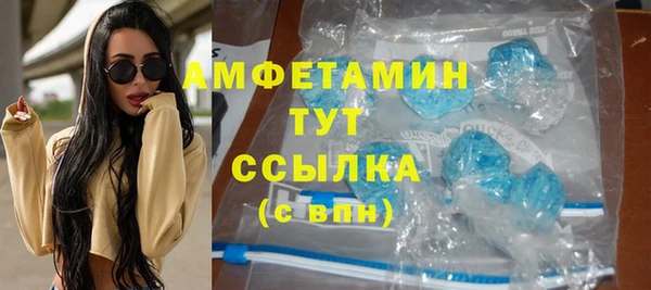 a pvp Пересвет